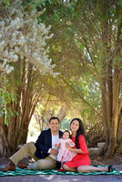 ZOM_7280 copy