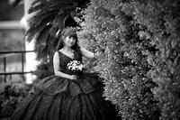 DSC00729